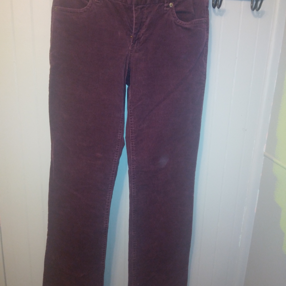 J. Crew Women's Flare Jeans in Purple